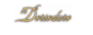 Dorsoduro